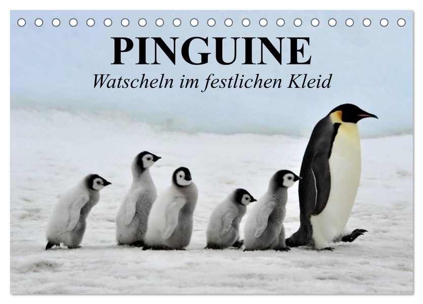 Pinguine - Watscheln im festlichen Kleid (Tischkalender 2027 DIN A5 quer) CALVENDO Monatskalender