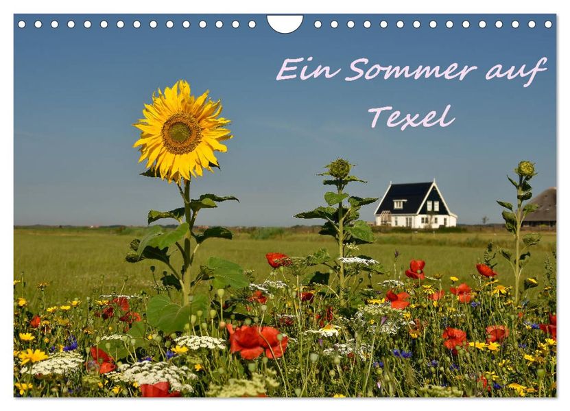 Ein Sommer auf Texel (Wandkalender 2027 DIN A4 quer) CALVENDO Monatskalender
