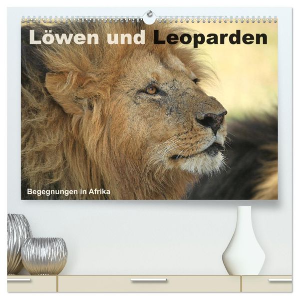Löwen und Leoparden - Begegnungen in Afrika (hochwertiger Premium Wandkalender 2027 DIN A2 quer) Kunstdruck in Hochglanz