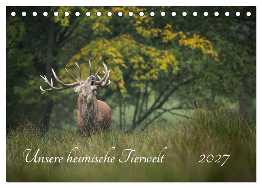 Unsere heimische Tierwelt (Tischkalender 2027 DIN A5 quer) CALVENDO Monatskalender