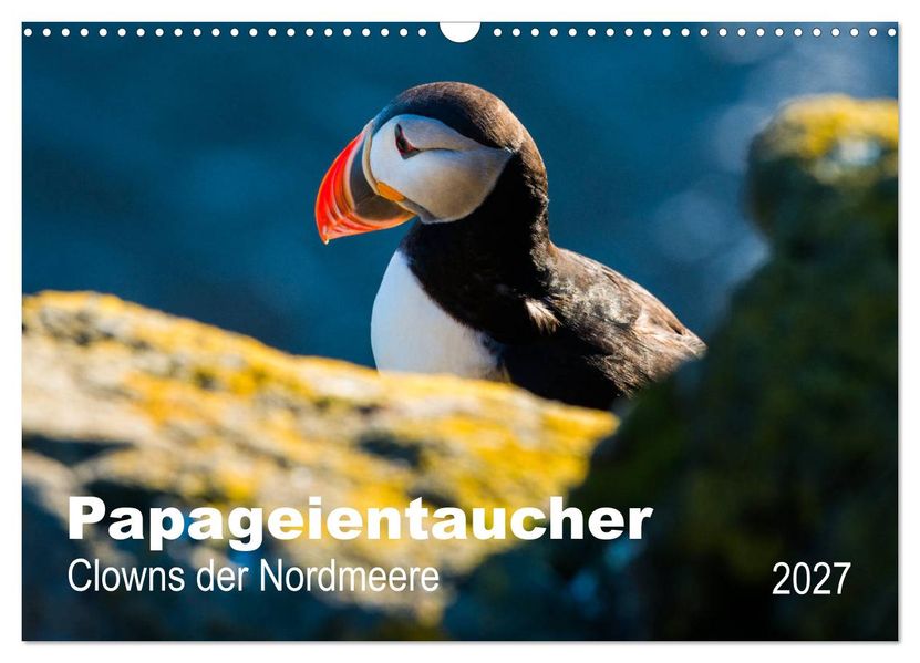 PAPAGEIENTAUCHER - Clowns der Nordmeere (Wandkalender 2027 DIN A3 quer) CALVENDO Monatskalender