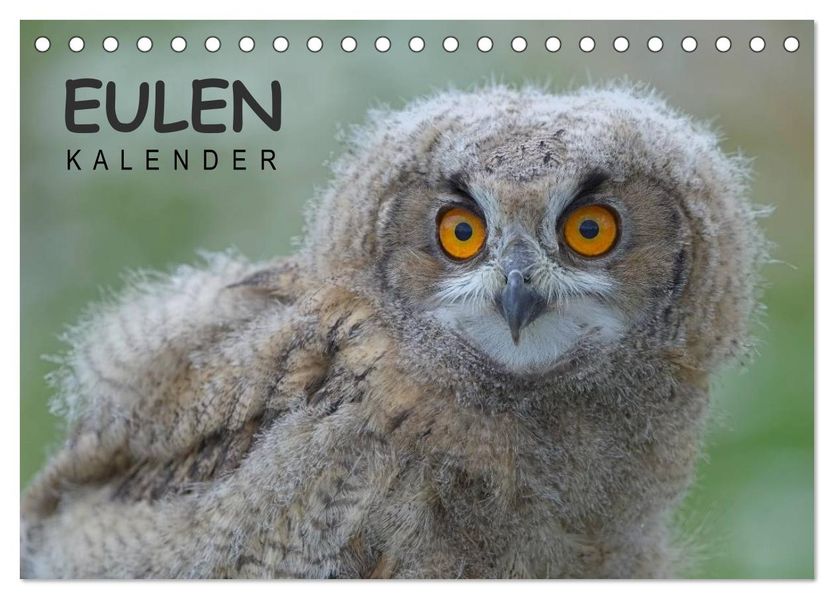 Eulen-Kalender (Tischkalender 2027 DIN A5 quer) CALVENDO Monatskalender