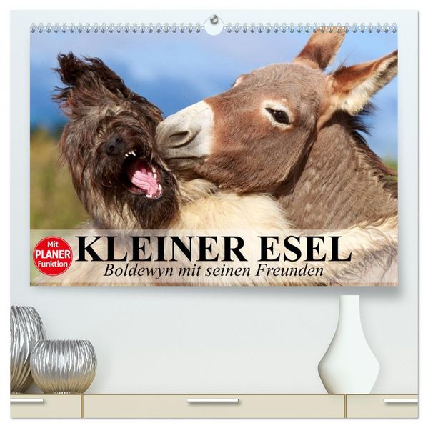 Kleiner Esel. Boldewyn mit seinen Freunden (hochwertiger Premium Wandkalender 2027 DIN A2 quer) Kunstdruck in Hochglanz