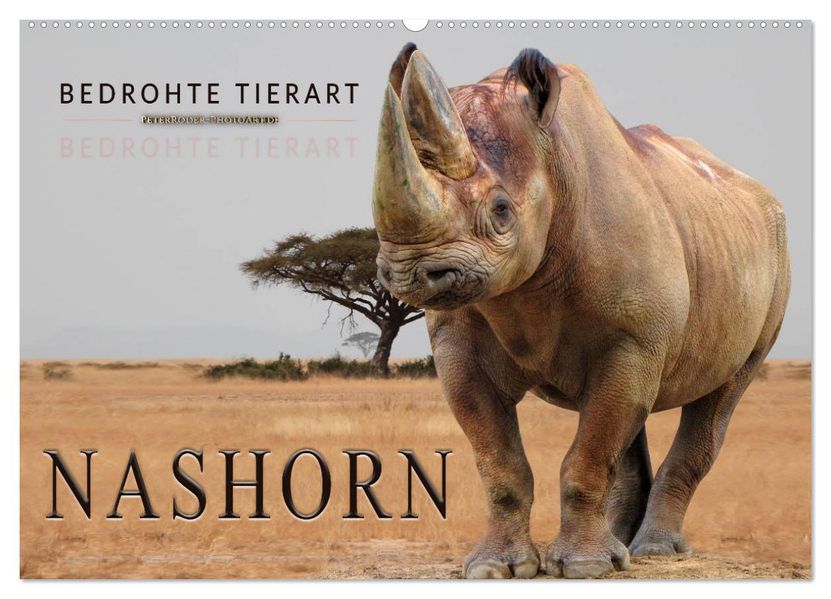 Bedrohte Tierart - Nashorn (Wandkalender 2027 DIN A2 quer) CALVENDO Monatskalender