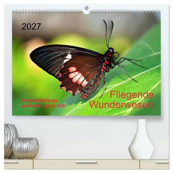 Fliegende Wunderwesen. Schmetterlinge weltweit ganz nah (hochwertiger Premium Wandkalender 2027 DIN A2 quer) Kunstdruck in Hochglanz