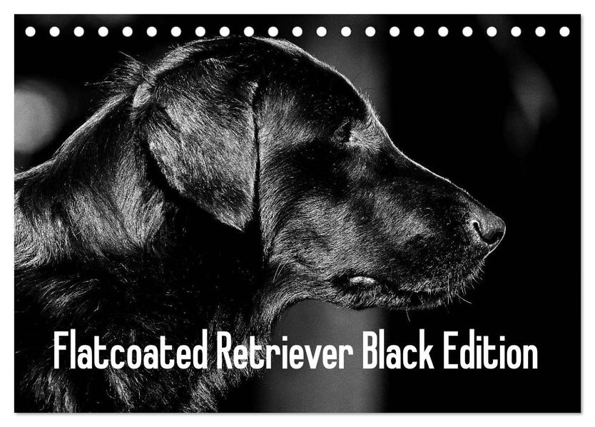 Flatcoated Retriever Black Edition (Tischkalender 2027 DIN A5 quer) CALVENDO Monatskalender