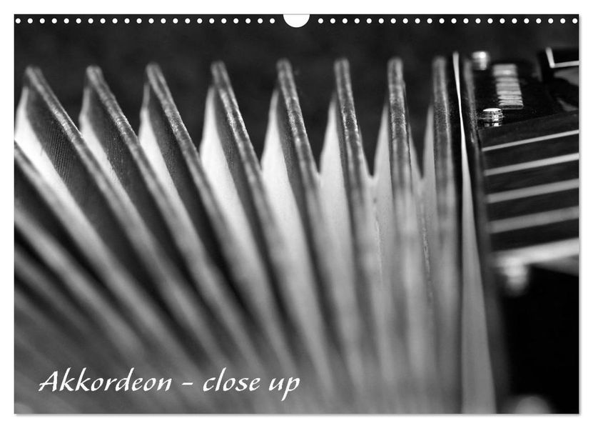 Akkordeon - close up (Wandkalender 2027 DIN A3 quer) CALVENDO Monatskalender