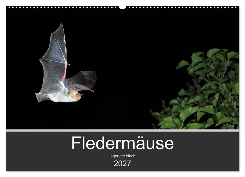 Fledermäuse - Jäger der Nacht (Wandkalender 2027 DIN A2 quer) CALVENDO Monatskalender