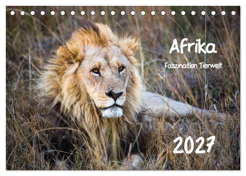 Afrika - Faszination Tierwelt (Tischkalender 2027 DIN A5 quer) CALVENDO Monatskalender