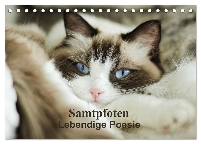Samtpfoten Lebendige Poesie (Tischkalender 2027 DIN A5 quer) CALVENDO Monatskalender