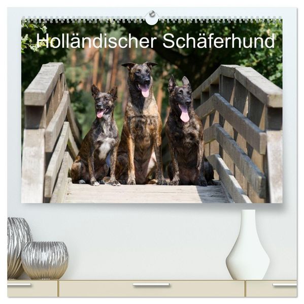 Holländischer Schäferhund (hochwertiger Premium Wandkalender 2027 DIN A2 quer) Kunstdruck in Hochglanz