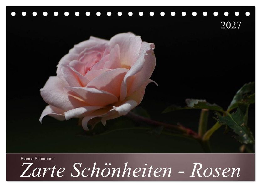 Zarte Schönheiten - Rosen (Tischkalender 2027 DIN A5 quer) CALVENDO Monatskalender