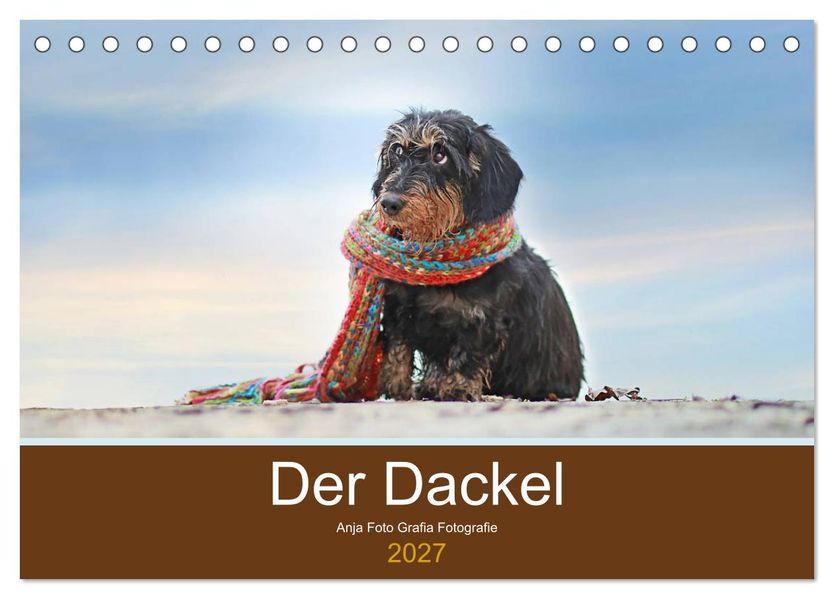 Der Dackel (Tischkalender 2027 DIN A5 quer) CALVENDO Monatskalender