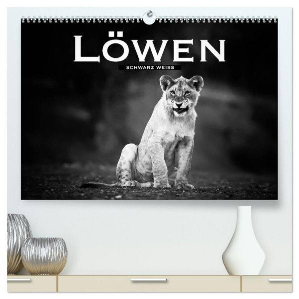 Löwen schwarz weiß (hochwertiger Premium Wandkalender 2027 DIN A2 quer) Kunstdruck in Hochglanz