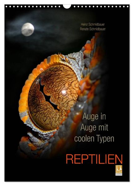 Auge in Auge mit coolen Typen - REPTILIEN (Wandkalender 2027 DIN A3 hoch) CALVENDO Monatskalender