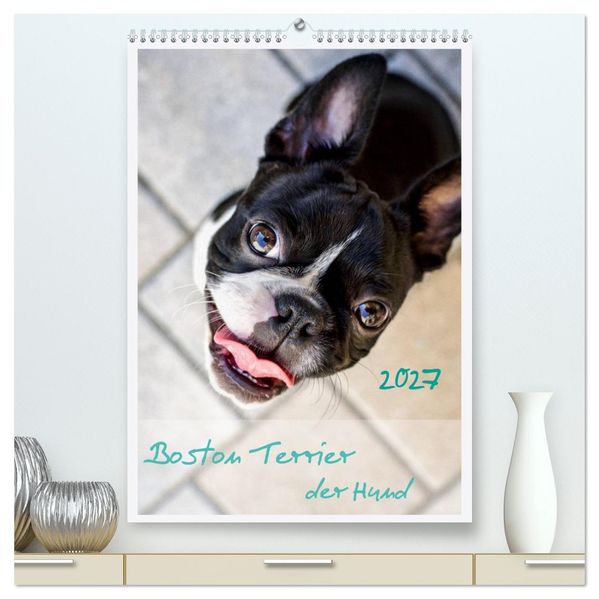 Boston Terrier der Hund 2027 (hochwertiger Premium Wandkalender 2027 DIN A2 hoch) Kunstdruck in Hochglanz