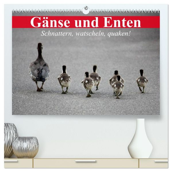 Gänse und Enten. Schnattern watscheln quaken! (hochwertiger Premium Wandkalender 2027 DIN A2 quer) Kunstdruck in Hochglanz