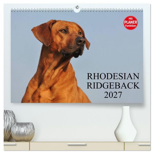 Rhodesian Ridgeback 2027 (hochwertiger Premium Wandkalender 2027 DIN A2 quer) Kunstdruck in Hochglanz