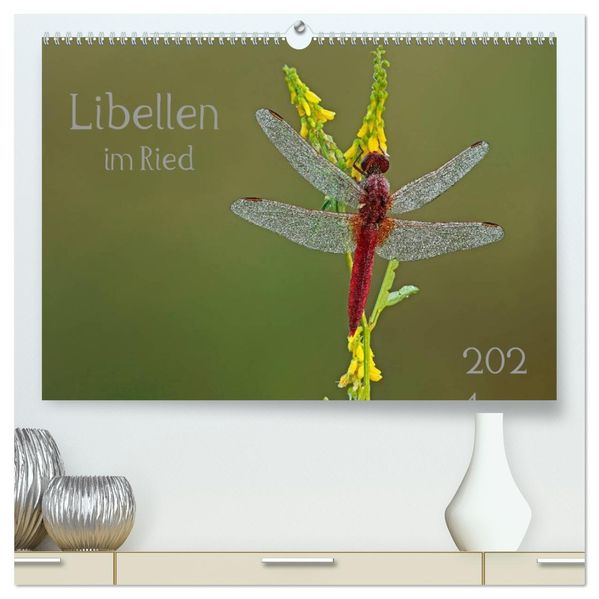 Libellen im Ried (hochwertiger Premium Wandkalender 2027 DIN A2 quer) Kunstdruck in Hochglanz