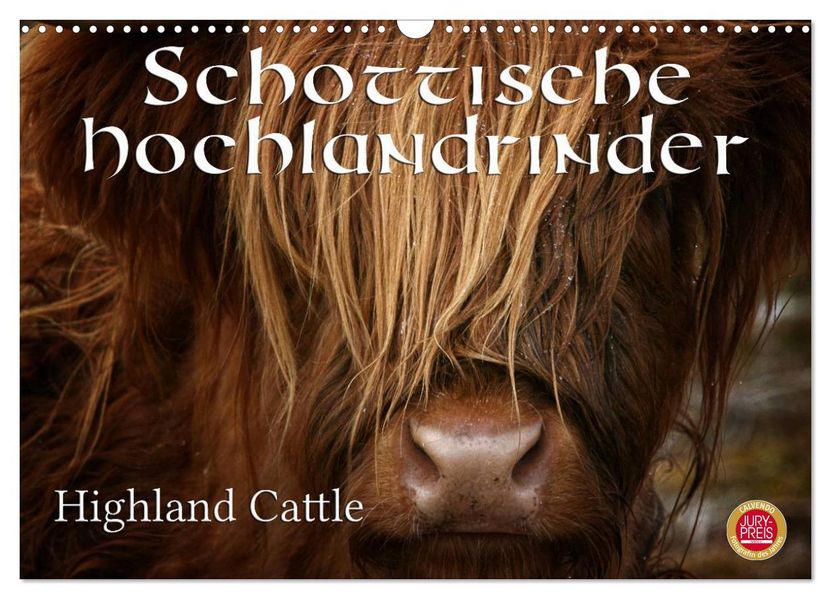 Schottische Hochlandrinder - Highland Cattle (Wandkalender 2027 DIN A3 quer) CALVENDO Monatskalender
