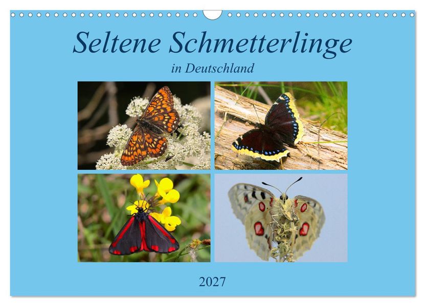 Seltene Schmetterlinge in Deutschland (Wandkalender 2027 DIN A3 quer) CALVENDO Monatskalender