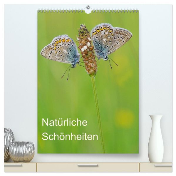 InsektenSchönheiten der Natur (hochwertiger Premium Wandkalender 2027 DIN A2 hoch) Kunstdruck in Hochglanz