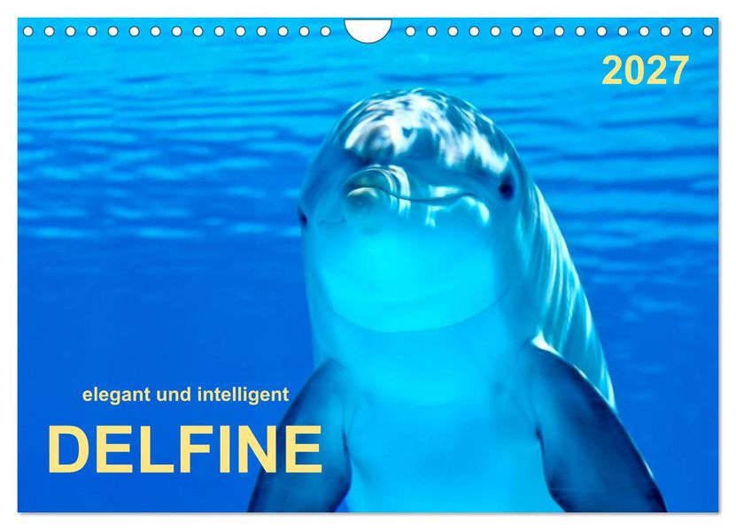 Delfine - elegant und intelligent (Wandkalender 2027 DIN A4 quer) CALVENDO Monatskalender