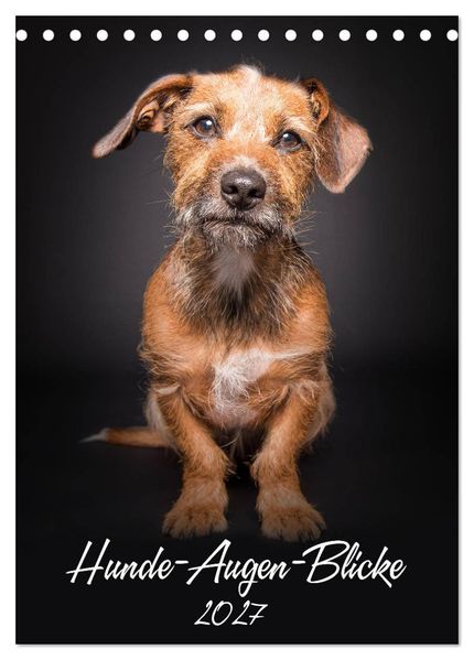 Hunde-Augen-Blicke (Tischkalender 2027 DIN A5 hoch) CALVENDO Monatskalender