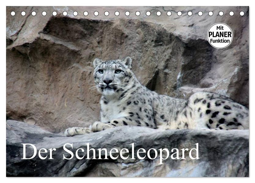 Der Schneeleopard (Tischkalender 2027 DIN A5 quer) CALVENDO Monatskalender