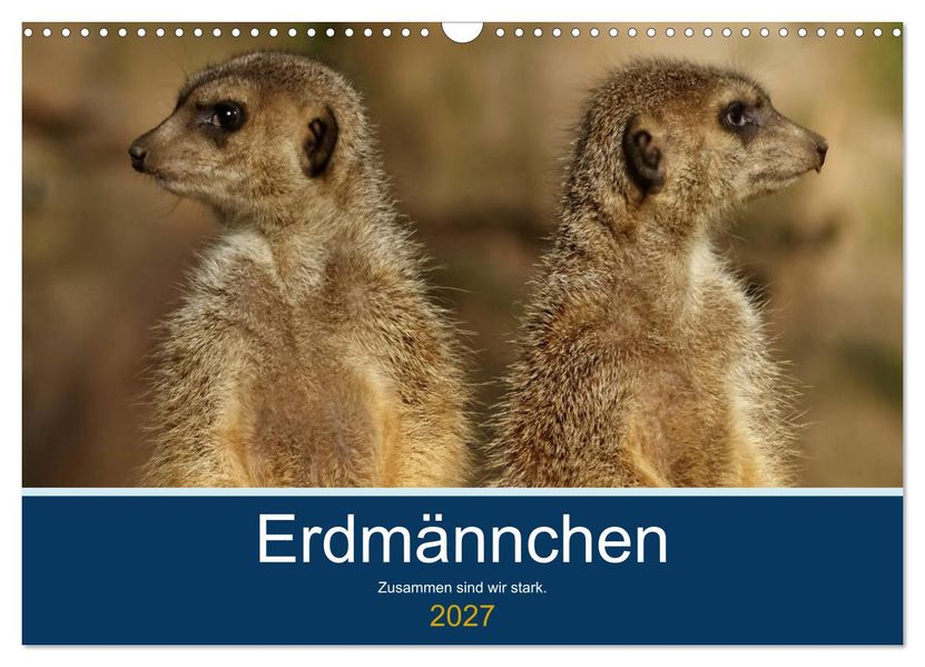 Erdmännchen - Zusammen sind wir stark (Wandkalender 2027 DIN A3 quer) CALVENDO Monatskalender