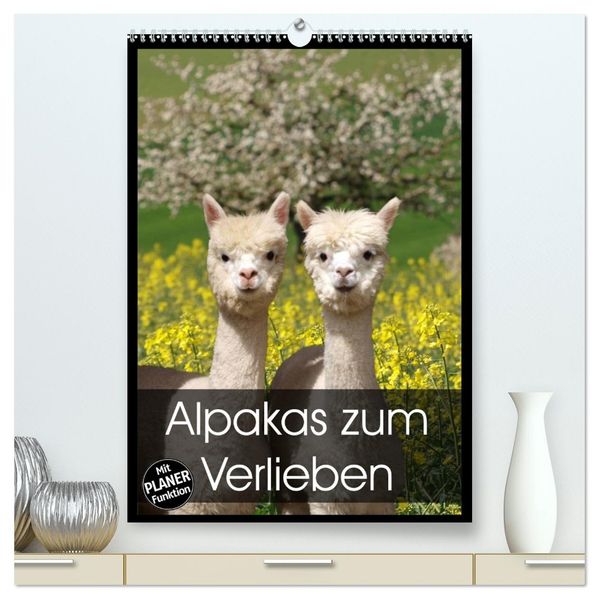 Alpakas zum Verlieben (hochwertiger Premium Wandkalender 2027 DIN A2 hoch) Kunstdruck in Hochglanz