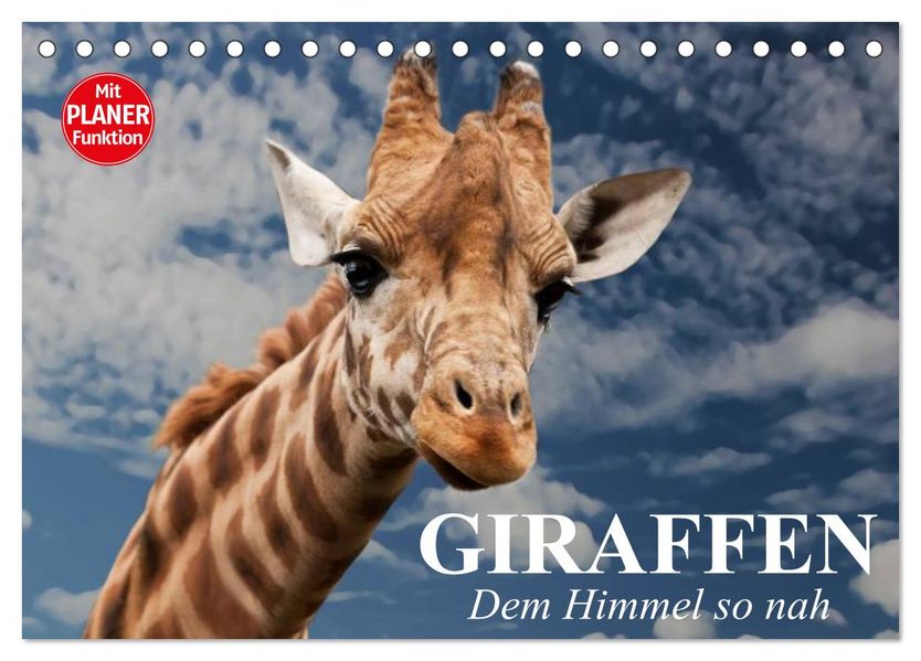 Giraffen. Dem Himmel so nah (Tischkalender 2027 DIN A5 quer) CALVENDO Monatskalender