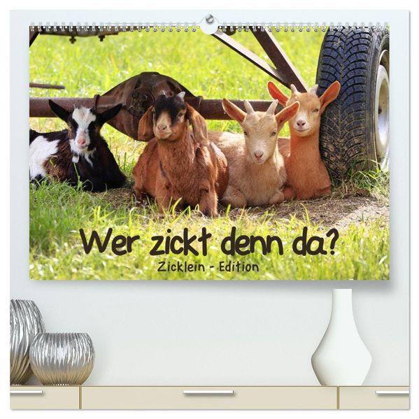 Wer zickt denn da? - Zicklein-Edition (hochwertiger Premium Wandkalender 2027 DIN A2 quer) Kunstdruck in Hochglanz