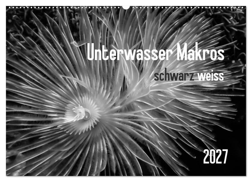 Unterwasser Makros - schwarz weiss 2027 (Wandkalender 2027 DIN A2 quer) CALVENDO Monatskalender