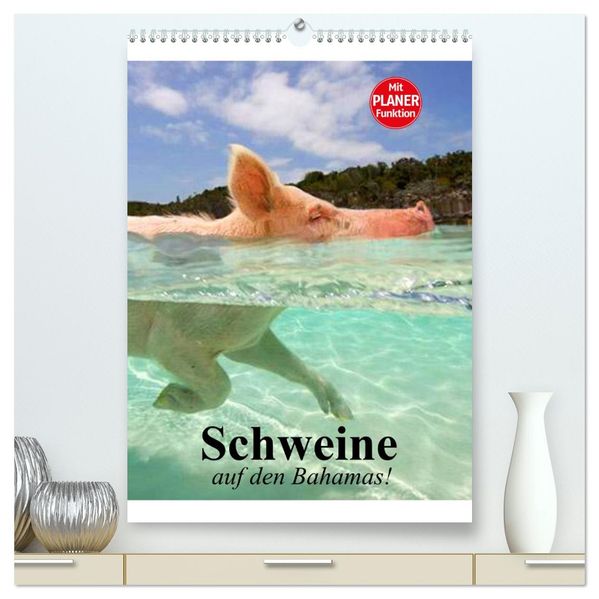 Schweine auf den Bahamas! (hochwertiger Premium Wandkalender 2027 DIN A2 hoch) Kunstdruck in Hochglanz