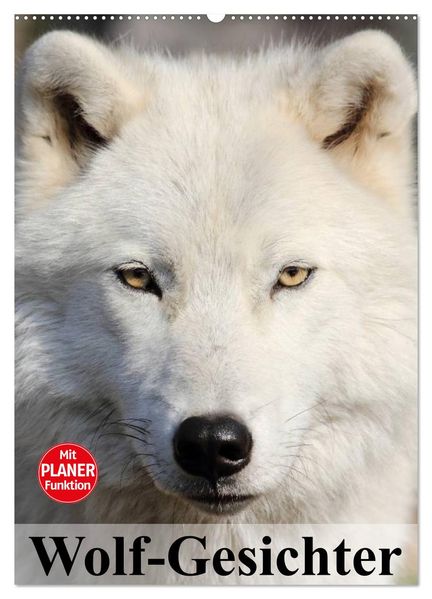 Wolf-Gesichter (Wandkalender 2027 DIN A2 hoch) CALVENDO Monatskalender
