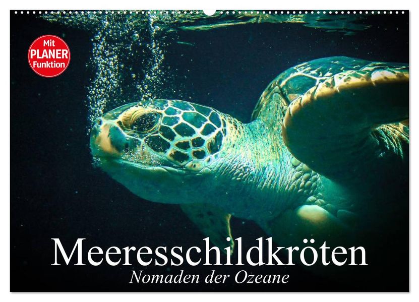 Meeresschildkröten. Nomaden der Ozeane (Wandkalender 2027 DIN A2 quer) CALVENDO Monatskalender