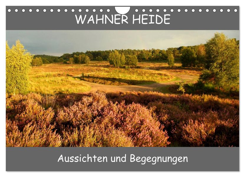 Wahner Heide - Aussichten und Begegnungen (Wandkalender 2027 DIN A4 quer) CALVENDO Monatskalender