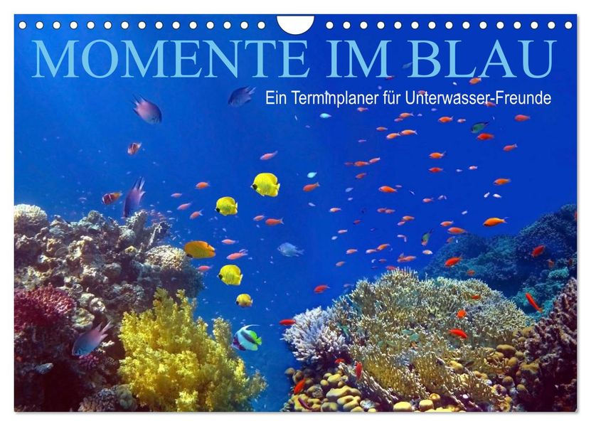 Momente im Blau - Ein Terminplaner für Unterwasser-Freunde (Wandkalender 2027 DIN A4 quer) CALVENDO Monatskalender