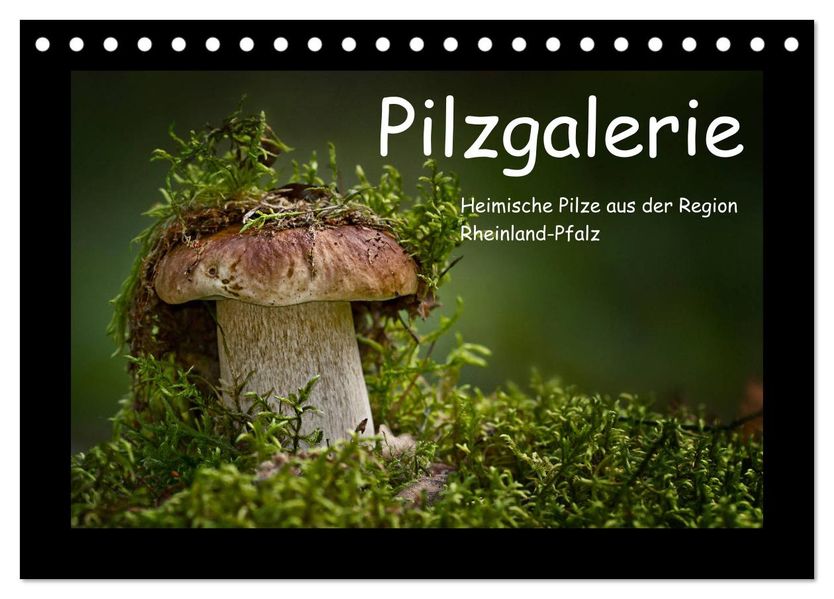 Pilzgalerie - Heimische Pilze aus der Region Rheinland-Pfalz (Tischkalender 2027 DIN A5 quer) CALVENDO Monatskalender