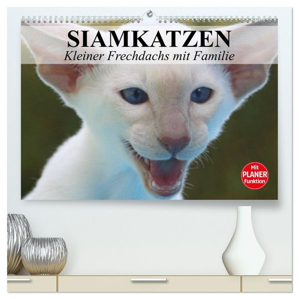 Siamkatzen - Kleiner Frechdachs mit Familie (hochwertiger Premium Wandkalender 2027 DIN A2 quer) Kunstdruck in Hochglanz