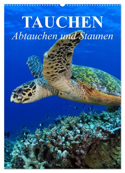 Tauchen - Abtauchen und Staunen (Wandkalender 2027 DIN A2 hoch) CALVENDO Monatskalender
