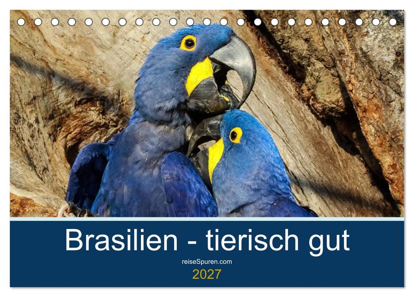 Brasilien tierisch gut 2027 (Tischkalender 2027 DIN A5 quer) CALVENDO Monatskalender