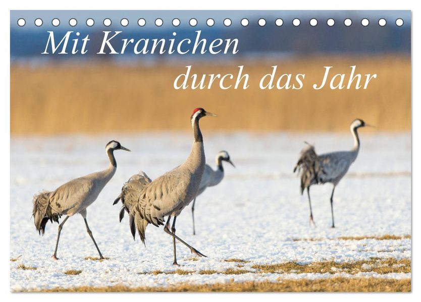 Mit Kranichen durch das Jahr (Tischkalender 2027 DIN A5 quer) CALVENDO Monatskalender