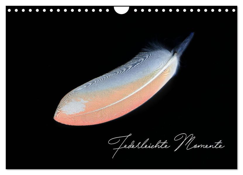 Federleichte Momente (Wandkalender 2027 DIN A4 quer) CALVENDO Monatskalender