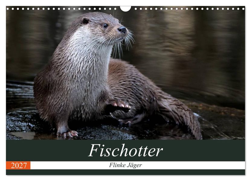Fischotter flinke Jäger (Wandkalender 2027 DIN A3 quer) CALVENDO Monatskalender