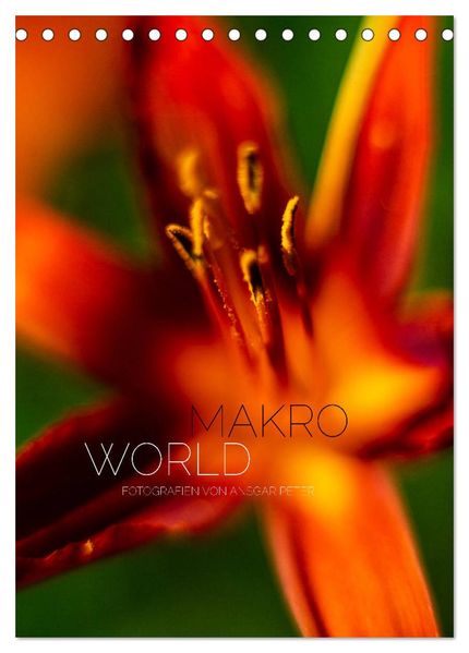Makro World (Tischkalender 2027 DIN A5 hoch) CALVENDO Monatskalender