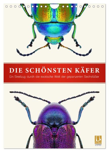 Die schönsten Käfer (Wandkalender 2027 DIN A4 hoch) CALVENDO Monatskalender