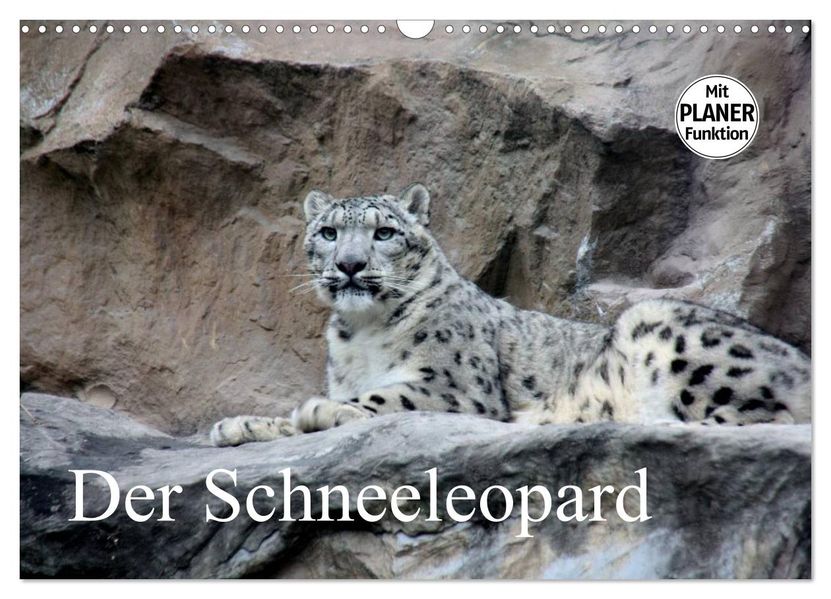 Der Schneeleopard (Wandkalender 2027 DIN A3 quer) CALVENDO Monatskalender