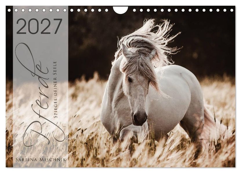 Spiegel deiner Seele (Wandkalender 2027 DIN A4 quer) CALVENDO Monatskalender